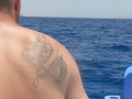 53