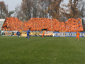 mfot-13