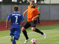 fot-12